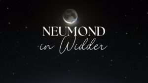 Mehr über den Artikel erfahren Neumond in Widder Bedeutung